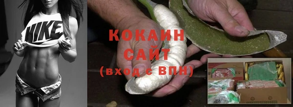ПСИЛОЦИБИНОВЫЕ ГРИБЫ Баксан