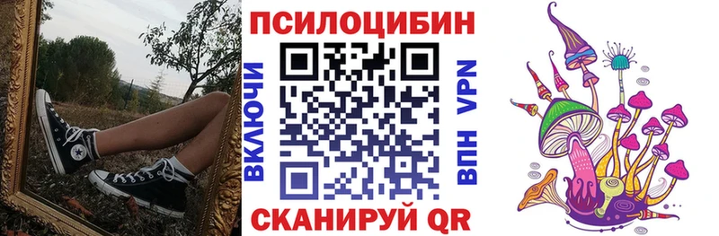где найти наркотики Великие Луки Псилоцибиновые грибы GOLDEN TEACHER
