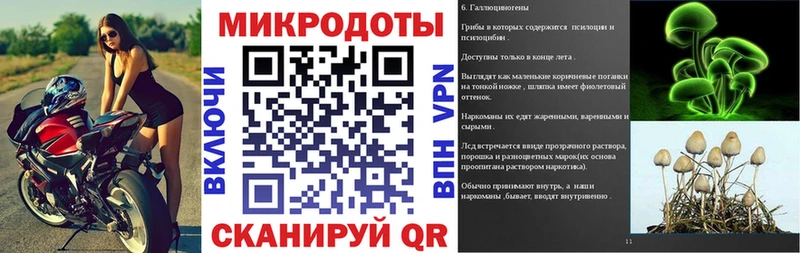 Псилоцибиновые грибы Psilocybe Великие Луки